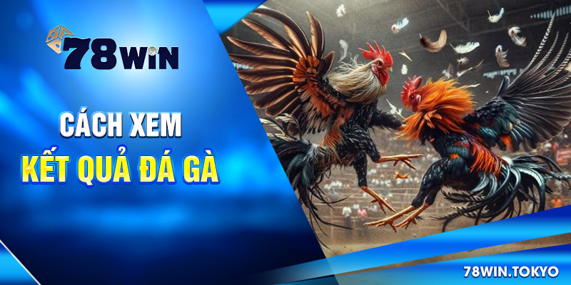 Cách xem kết quả đá gà